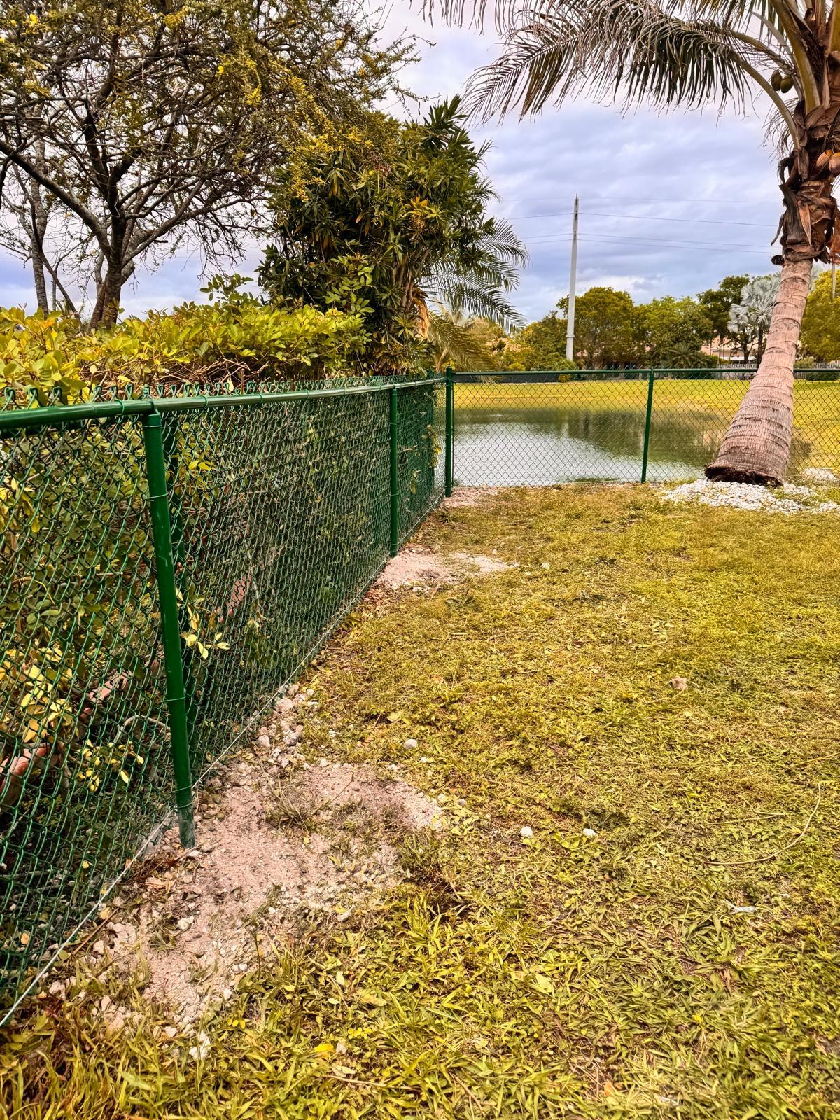 Green vinyl-coated chain link fence by a lake